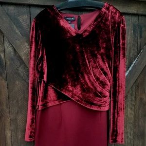 Lafayette 148 Dress NWT SZ 16